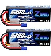 Amazon.com: Zeee 7.2V NiMH Battery 3600mAh RC Battery High